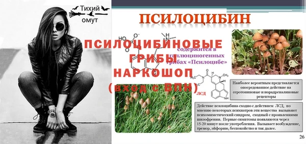 прущие грибы Абинск
