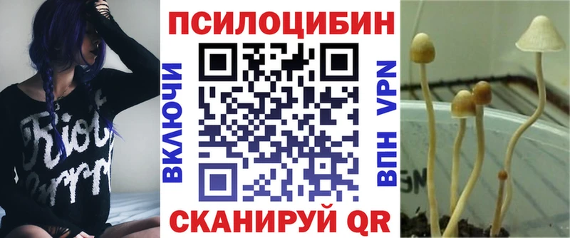 Псилоцибиновые грибы MAGIC MUSHROOMS  mega ссылка  Спас-Клепики 